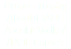 Bronze Trophy
Absolut IADE
Absolut Vodka/
/IADE Contest