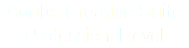 Adobe Creative Suite
Professional level